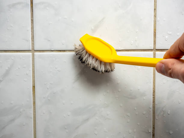 Best Residential Mold Removal  in Cuero, TX