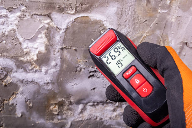Best Mold Removal Process  in Cuero, TX