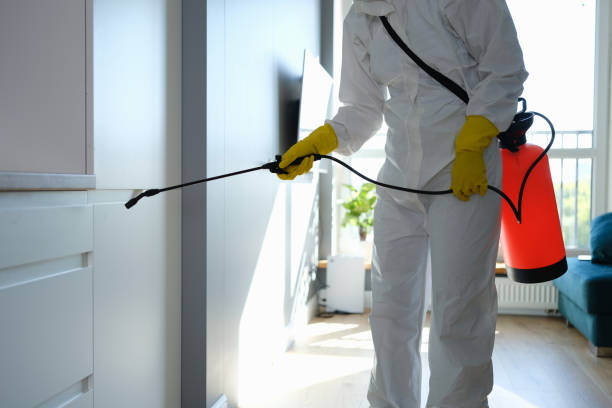 Crawl Space Mold Removal in Cuero, TX