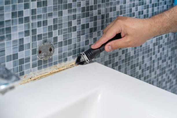 Best Mold Removal Near Me  in Cuero, TX