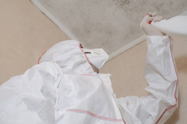 Best Affordable Mold Removal  in Cuero, TX